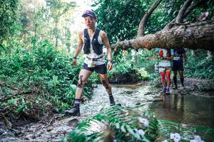 BIB: 
                            <button type="button" onclick="openModal(25446298)" class="btn btn-primary btn-sm float-right btn-popup" data-toggle="modal" data-target=".modal-high-quality">
                        <i class="fas fa-shopping-cart"></i> Add to Cart
                    </button>
                                            <button type="button" onclick="isThisMe(25446298, true)" class="btn btn-success btn-sm float-right btn-popup btn-isme hidden" data-toggle="tooltip" data-placement="bottom" title="นี่คือรูปของคุณใช่ไหม คลิกที่นี่เพื่อเอาเข้าอัลบั้ม">
                        <i class="fas fa-plus"></i> Add to album
                    </button>
                    <button type="button" onclick="isThisMe(25446298, false)" class="btn btn-warning btn-sm float-right btn-popup btn-isnotme hidden">
                        <i class="fas fa-ban"></i> Remove from album
                    </button>